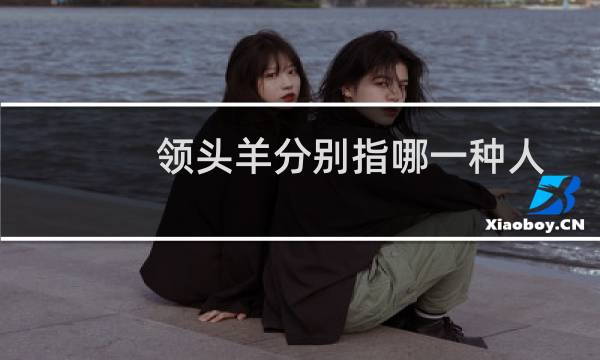领头羊分别指哪一种人(领头羊分别指哪一类人)