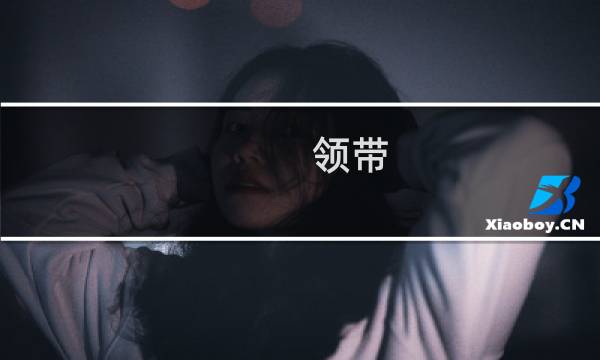 领带
