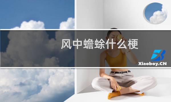 风中蟾蜍什么梗