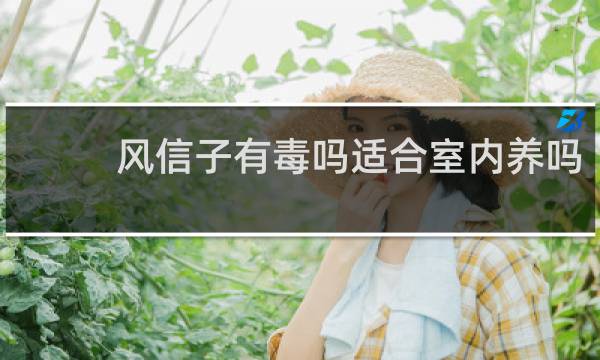 风信子有毒吗适合室内养吗
