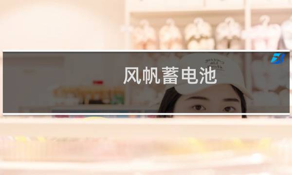 风帆蓄电池图片