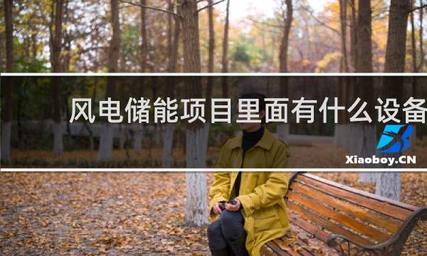风电储能项目里面有什么设备图片