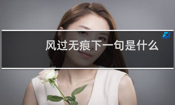风过无痕下一句是什么（风过无痕下一句是什么）图片