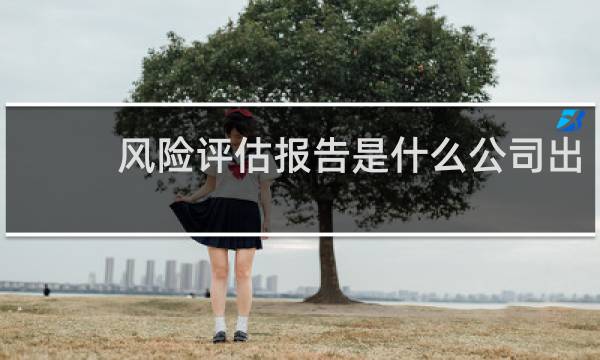 风险评估报告是什么公司出