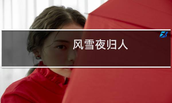 风雪夜归人