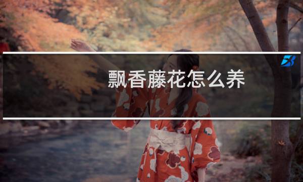 飘香藤花怎么养