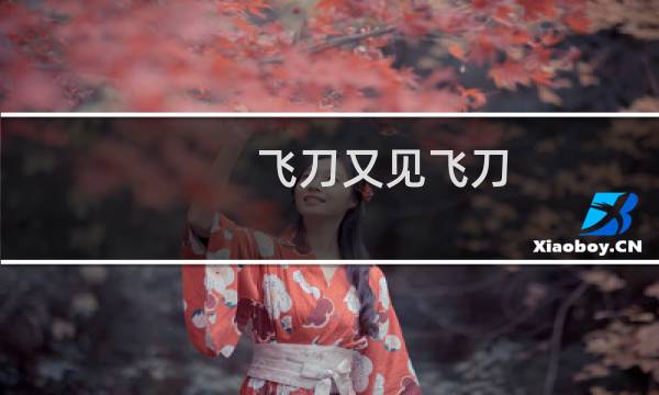飞刀又见飞刀图片
