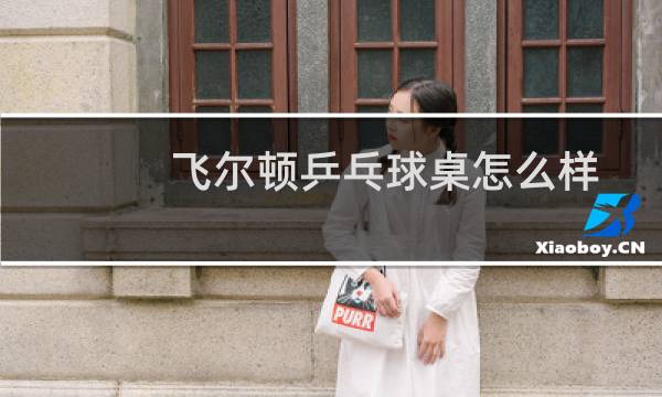 飞尔顿乒乓球桌怎么样
