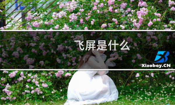 飞屏是什么 暴风影音电视版 .电脑版以及魔镜版飞屏使用图文教程