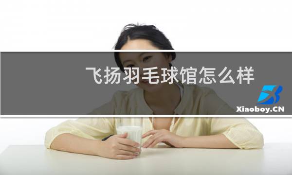 飞扬羽毛球馆怎么样