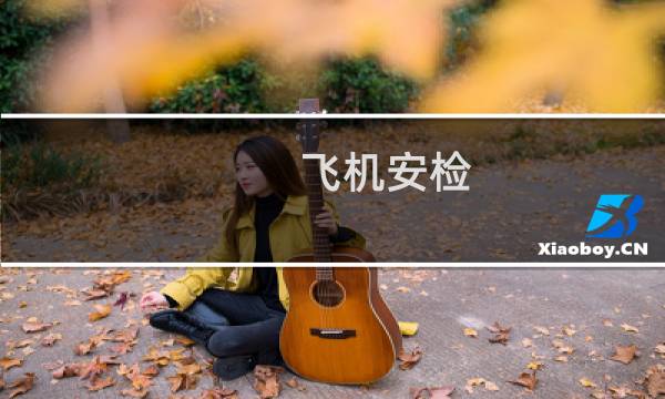 飞机安检图片