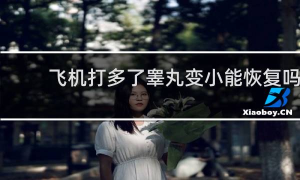 飞机打多了睾丸变小能恢复吗