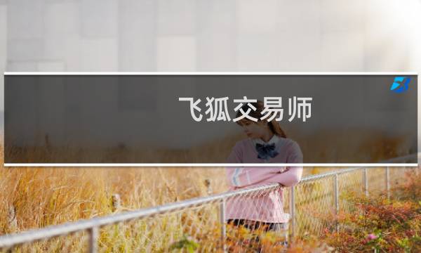 飞狐交易师图片