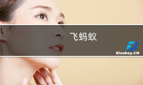 飞蚂蚁图片