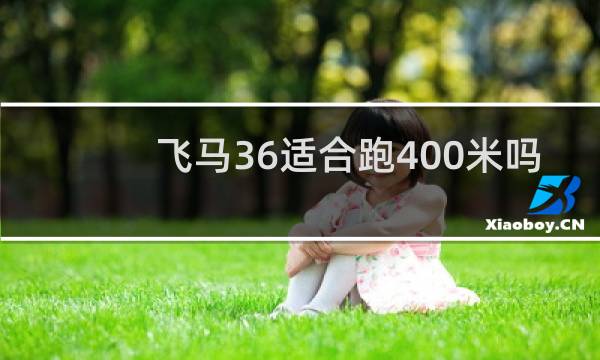 飞马36适合跑400米吗
