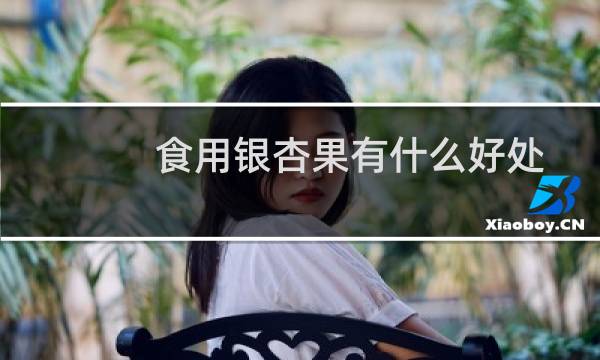 食用银杏果有什么好处