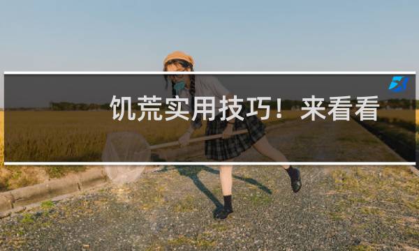 饥荒实用技巧！来看看吧