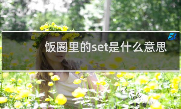 饭圈里的set是什么意思