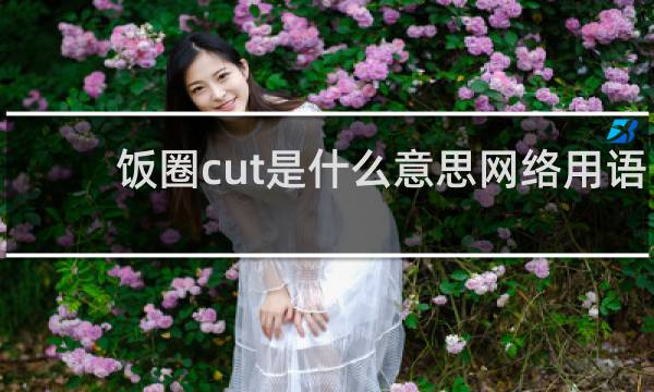 饭圈cut是什么意思网络用语,翻译成中文表达什么什么梗