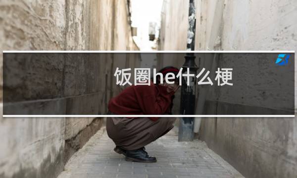 饭圈he什么梗