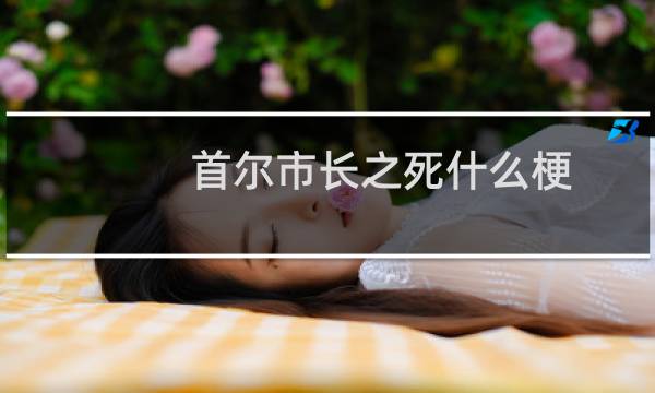 首尔市长之死什么梗