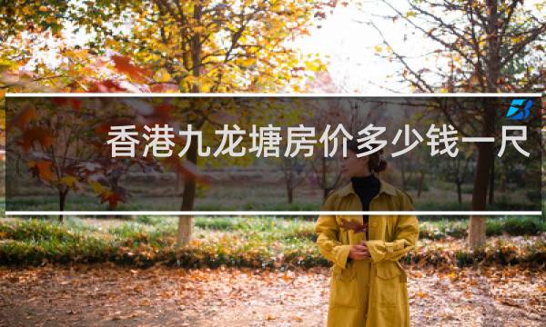 香港九龙塘房价多少钱一尺