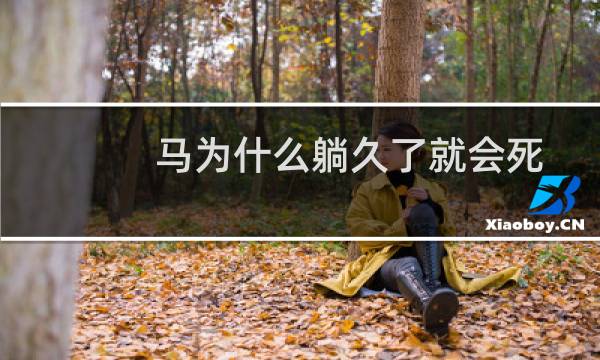 马为什么躺久了就会死