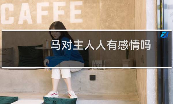 马对主人人有感情吗