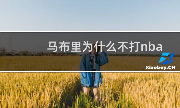 马布里为什么不打nba