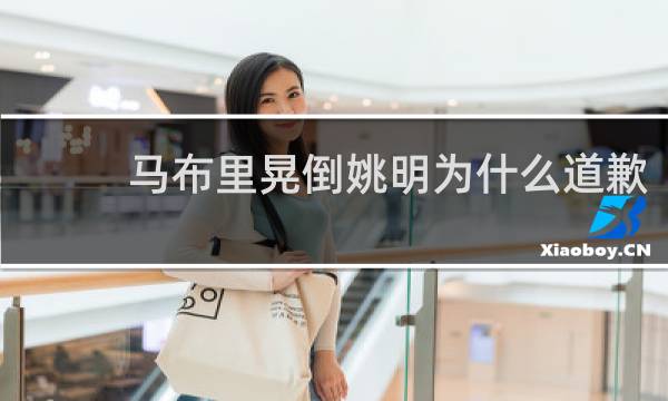 马布里晃倒姚明为什么道歉