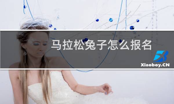 马拉松兔子怎么报名
