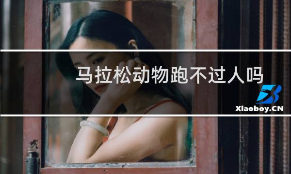 马拉松动物跑不过人吗