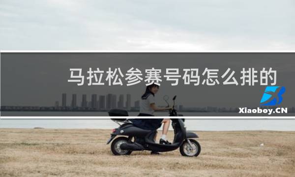 马拉松参赛号码怎么排的