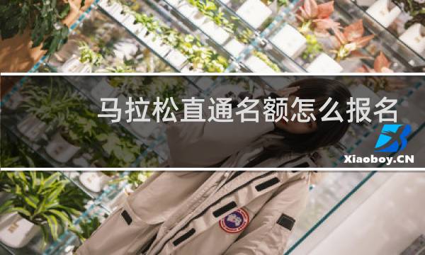 马拉松直通名额怎么报名
