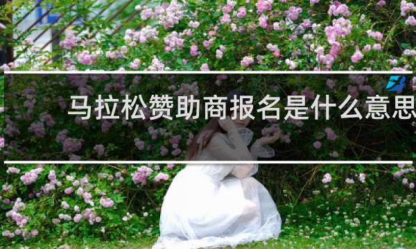 马拉松赞助商报名是什么意思