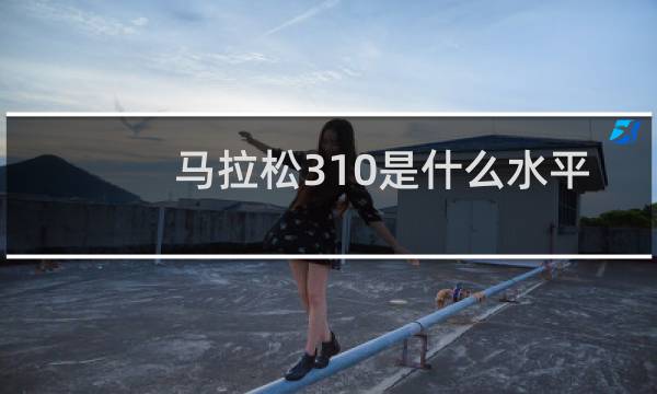 马拉松310是什么水平