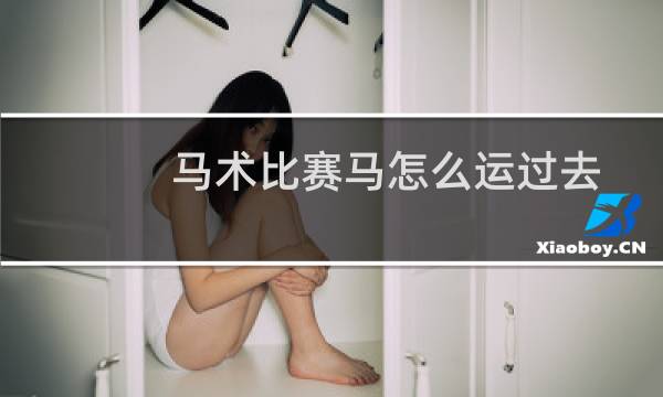 马术比赛马怎么运过去