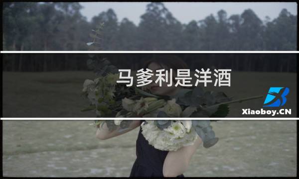 马爹利是洋酒