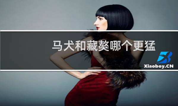 马犬和藏獒哪个更猛