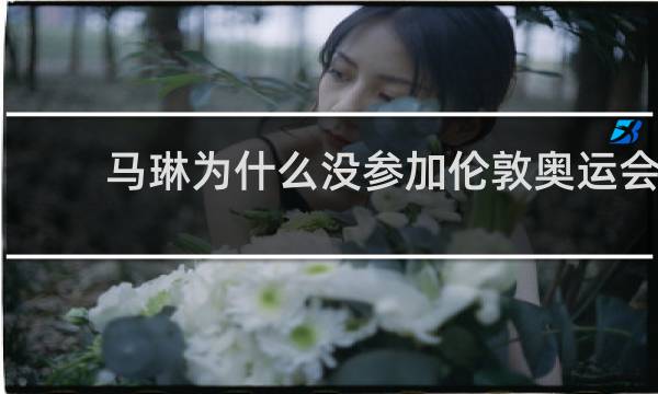 马琳为什么没参加伦敦奥运会