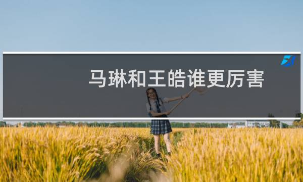 马琳和王皓谁更厉害