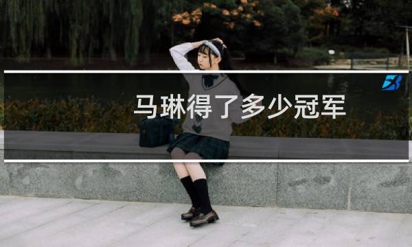 马琳得了多少冠军