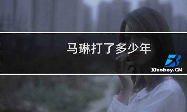 马琳打了多少年
