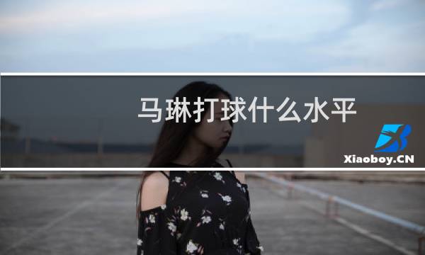 马琳打球什么水平