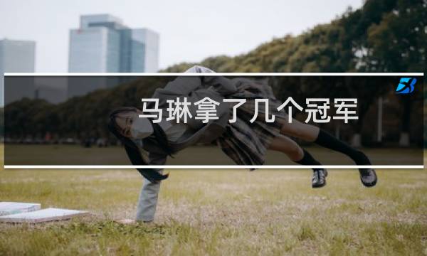 马琳拿了几个冠军