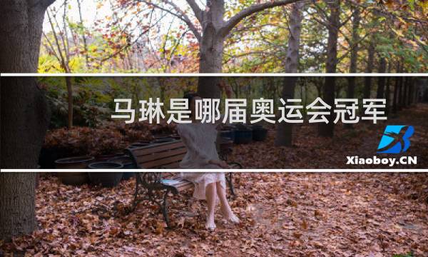 马琳是哪届奥运会冠军