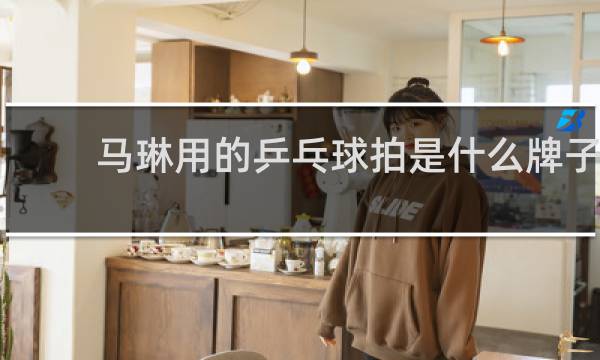 马琳用的乒乓球拍是什么牌子