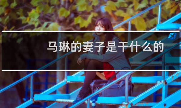 马琳的妻子是干什么的