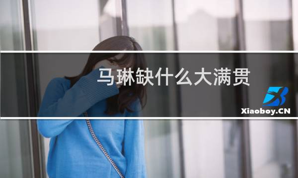 马琳缺什么大满贯