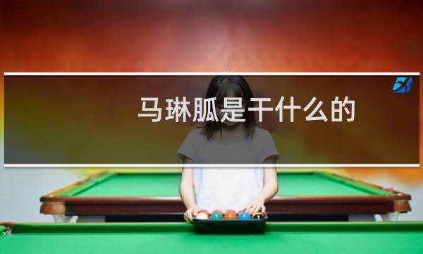 马琳胍是干什么的